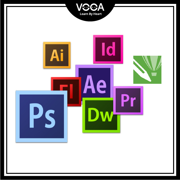 THE BASICS THE BASICS